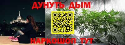 индика Новокубанск