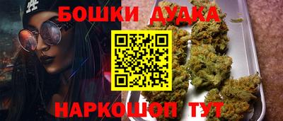 индика Новокубанск