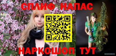 индика Новокубанск