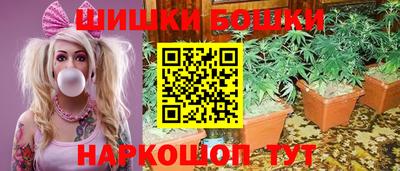 индика Новокубанск