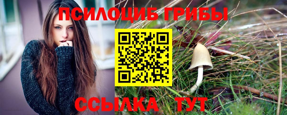 Рассказово  Псилоцибиновые грибы Psilocybine cubensis  Галлюциногенные грибы мицелий  Вход с VPN 